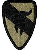 163rd Armored Cavalry Regiment OCP Scorpion Shoulder Patch With Velcro